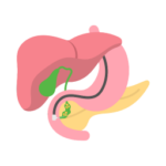 Gynecological Endoscopic Surgery